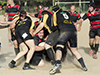 thumb_DSC_6499.jpg
